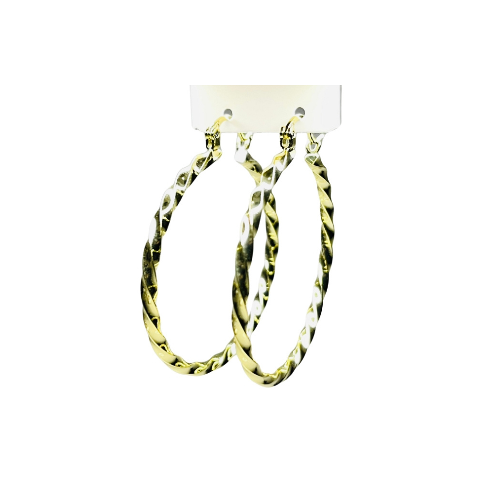 Jewelry - Stainless Steel Earring 239AC