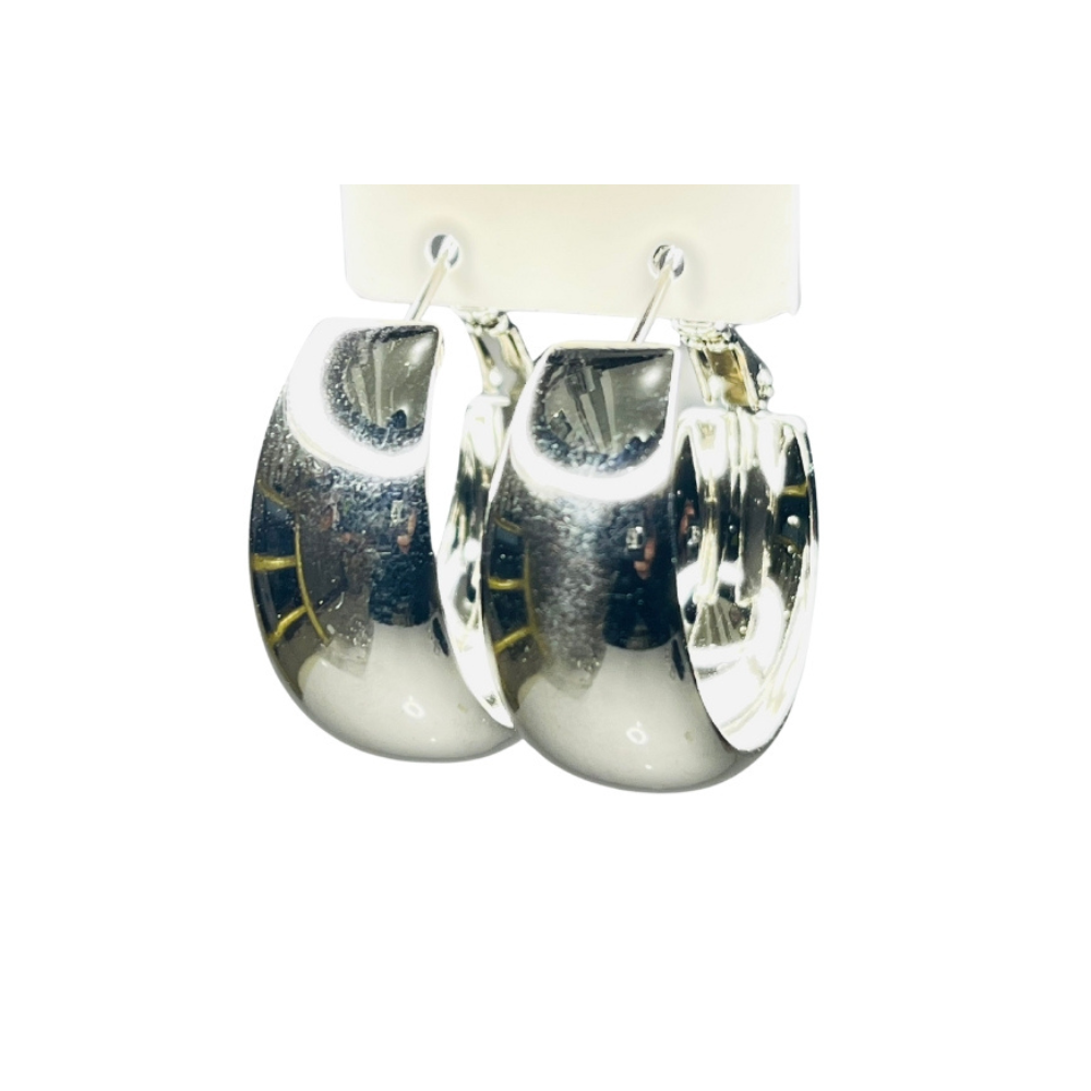 Jewelry - Stainless Steel EarringA 356AC