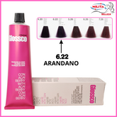 Tintes - Tinte Glossco 6.22 Arandano 100ml